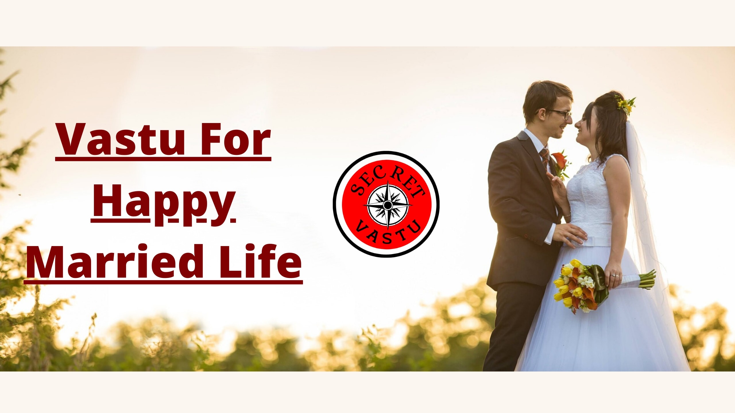 Happy Wife, Happy Life: Marriage Advice from Happily Married Non-Experts  (2017)